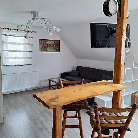 Apartma Bogi 公寓 *