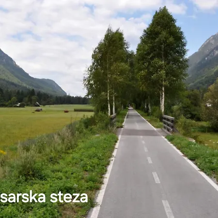 Apartma Bogi Apartma