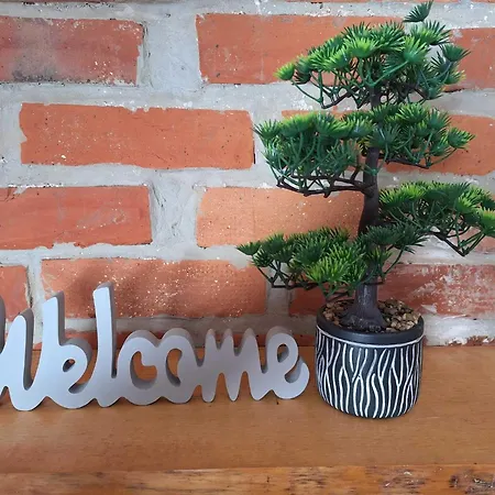 Apartma Bogi Appartement Kranjska Gora