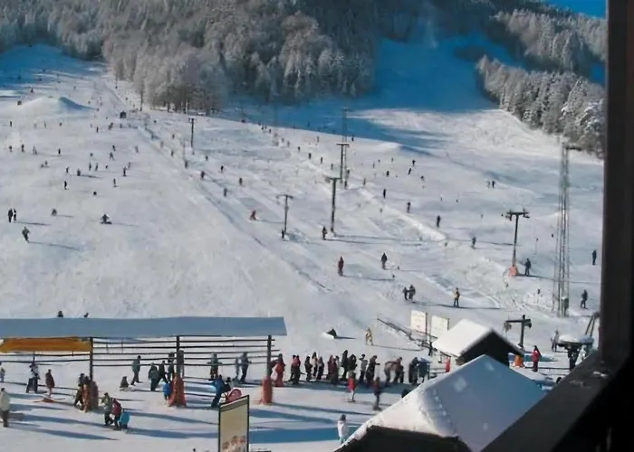 Apartma Bogi كْرانْيِسكا غورا