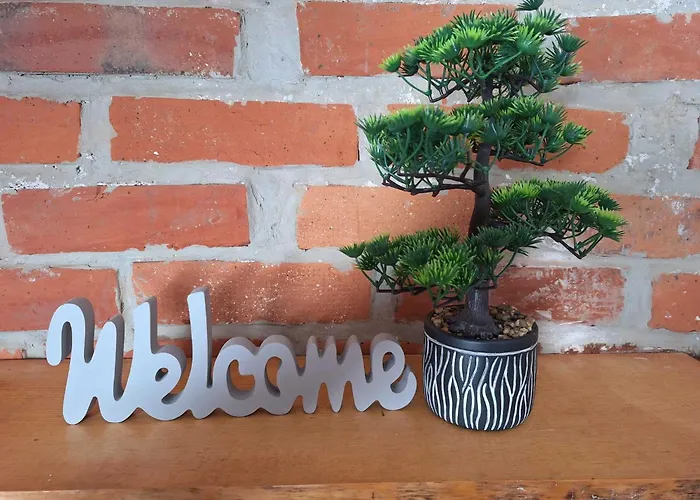 Apartma Bogi شقة كْرانْيِسكا غورا